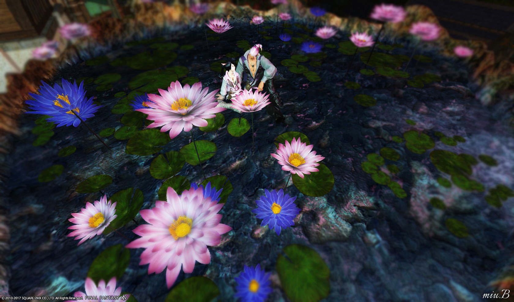 みうぶらう ぐんぐにる ラベンダーで見つけたコレ うわぁぁぁ コレ欲しいよおおお Ff14aw Ff14ハウジング 庭具の池の中に植えられる睡蓮だけでも下さい 鉢とかきらきらとか余計なものは 無しで T Co Ksach3lql1 Twitter みうぶらう ぐんぐにる ラベンダーで見つけたコレ うわぁぁぁ コレ欲しいよおおお Ff14aw Ff14ハウジング 庭具の池の中に植えられる睡蓮だけでも下さい 鉢とかきらきらとか余計なものは 無しで T Co Ksach3lql1 Twitter