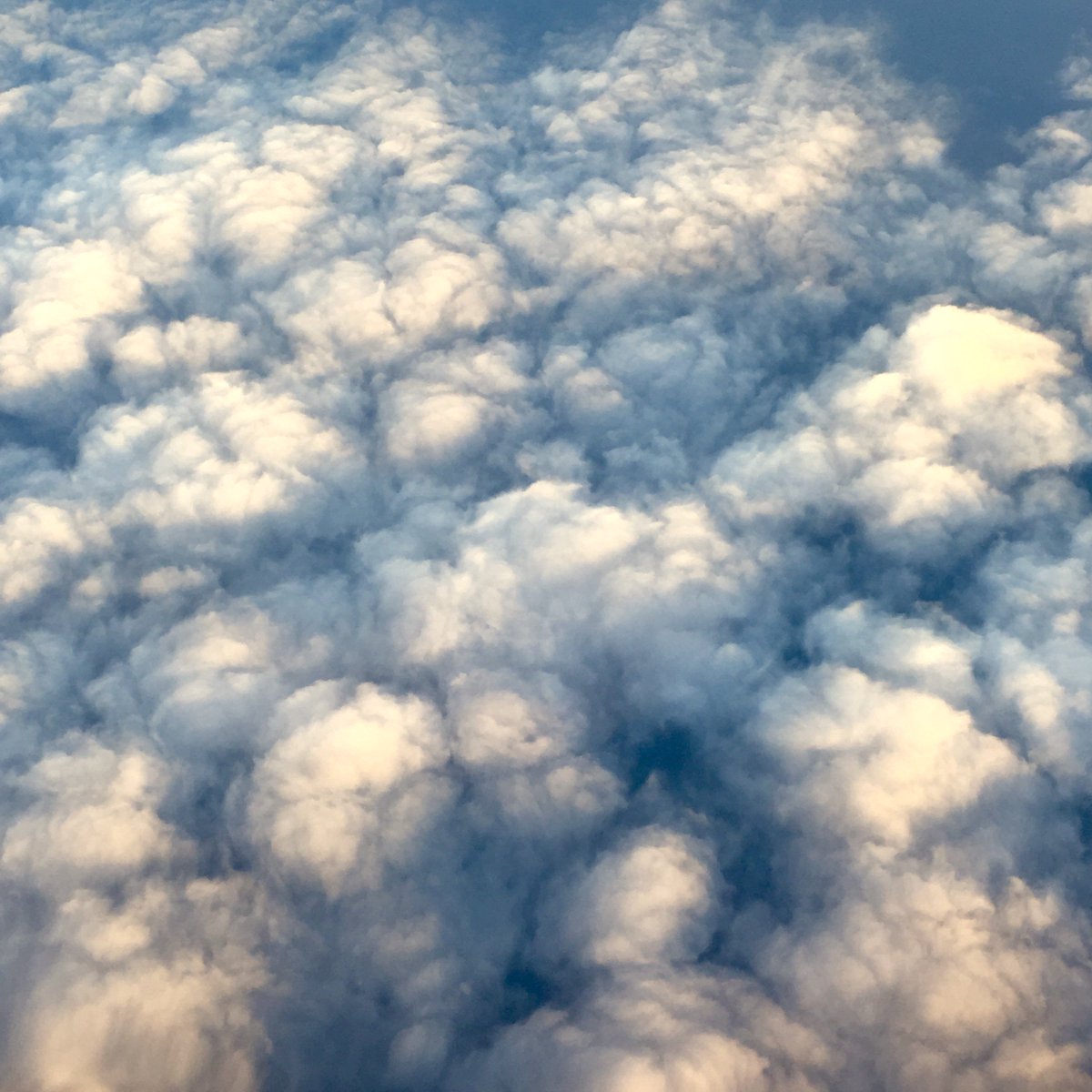 zachstreet47's tweet photo. they seem so soft & gentle
we tend to forget
without clouds
we'd all be dead
#19syllables
#NPRpoetry
#NPM2017
#NatureIsReal
#PlanetaryPoems https://t.co/5DLQMsHDIL
