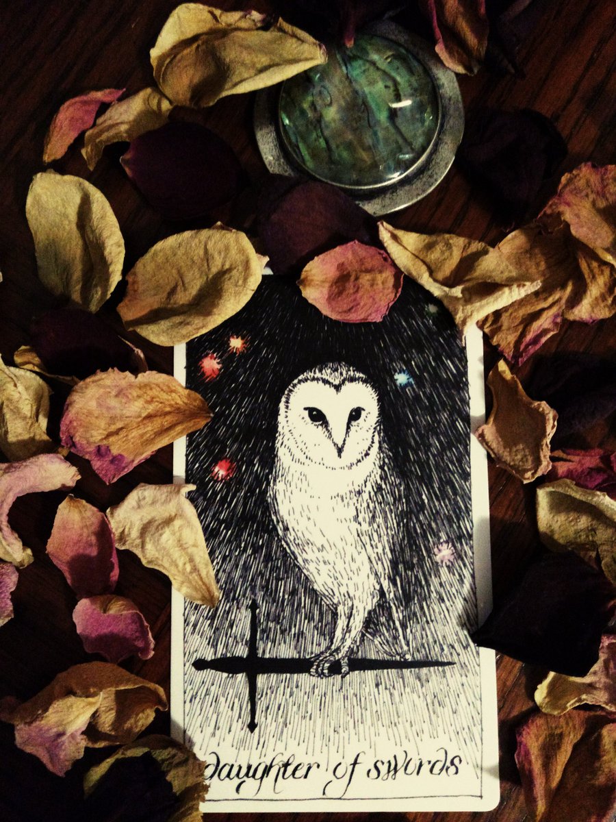 StarchildDivinr's tweet photo. #DaughterofSwords brings clarity of mind to cut through illusions. What lies do you believe about yourself? #TheWildUnknown #30DaysofTarot https://t.co/POEv8qTaWF