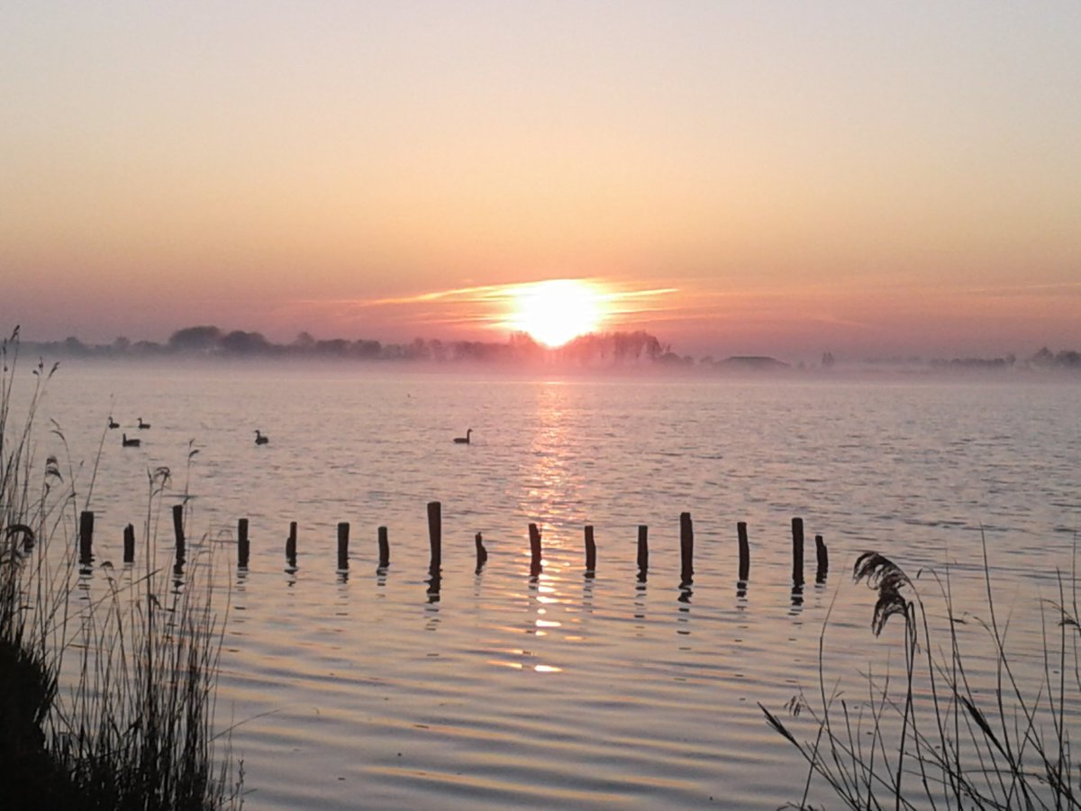 Bosw8erPieter's tweet photo. Vroeg uit de veren heeft zo zijn voordelen #bmptelling #LytseGriene #Snekermeer @bosw8erMarjon https://t.co/r08MXM2ACE