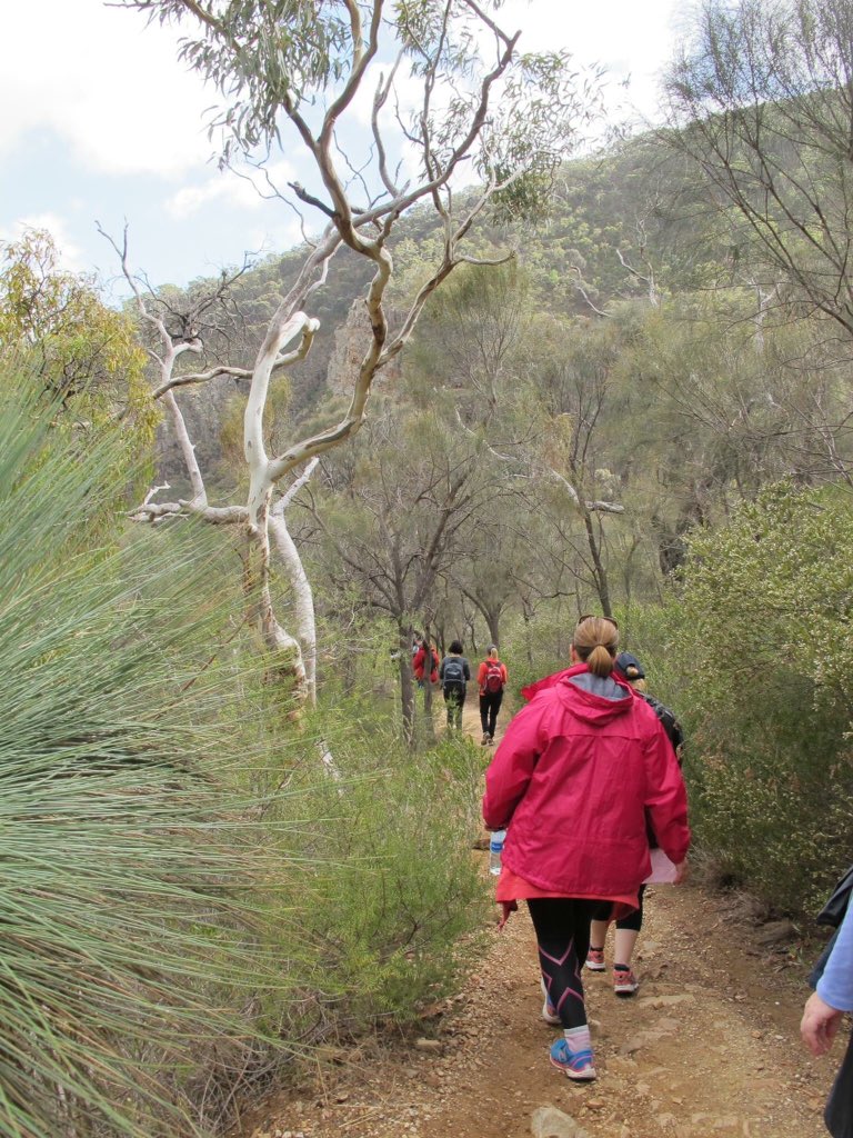 DrSarahBray's tweet photo. Lovely hike with the @BigHAdventures Wise Women Walkers group this morning in Morialta. #hike #walkingSA #naturewalk #fitness https://t.co/2zrsMd3bMQ