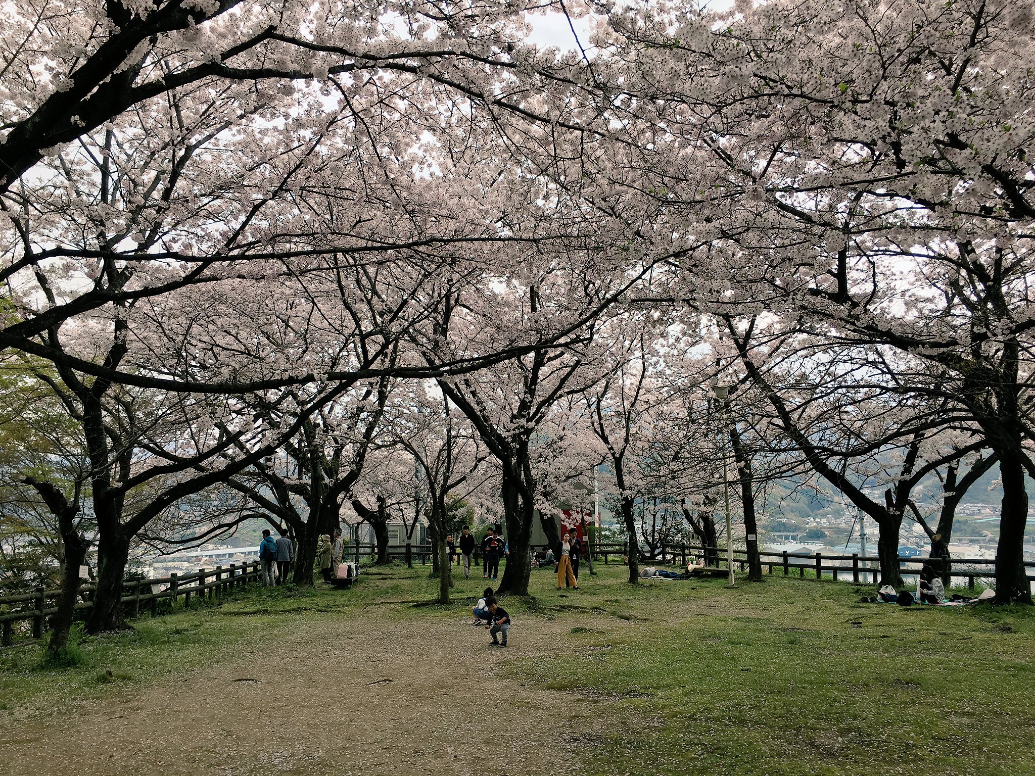 坂町横浜公園 Twitter Search Twitter