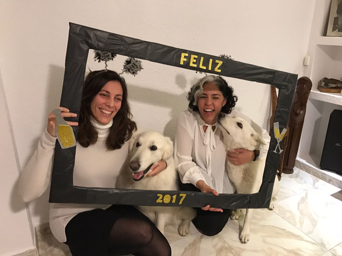 serendip2020's tweet photo. ¡Hoy va por ellos, nuestros mejores amigos! 😍🐕 @adoptaycorre  @serendipitymad  #socialdipity #Madrid https://t.co/mlohTccTbd