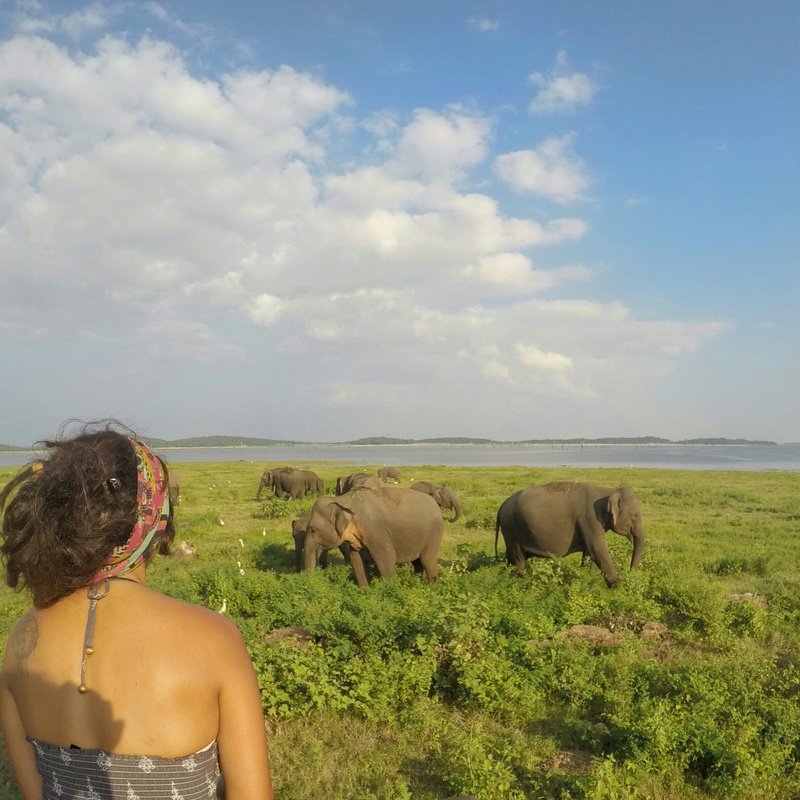 Digi_Nomad_Life's tweet photo. 11 Amazing Things to do in Sri Lanka

https://t.co/uQdk3xo9rN https://t.co/IVxrKPD19L