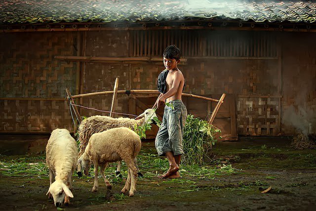 Umur geus nincak dewasa, niat arek mulang tarima, ka bapa nu ngayuga, ieu diri nu teu weleh baha..