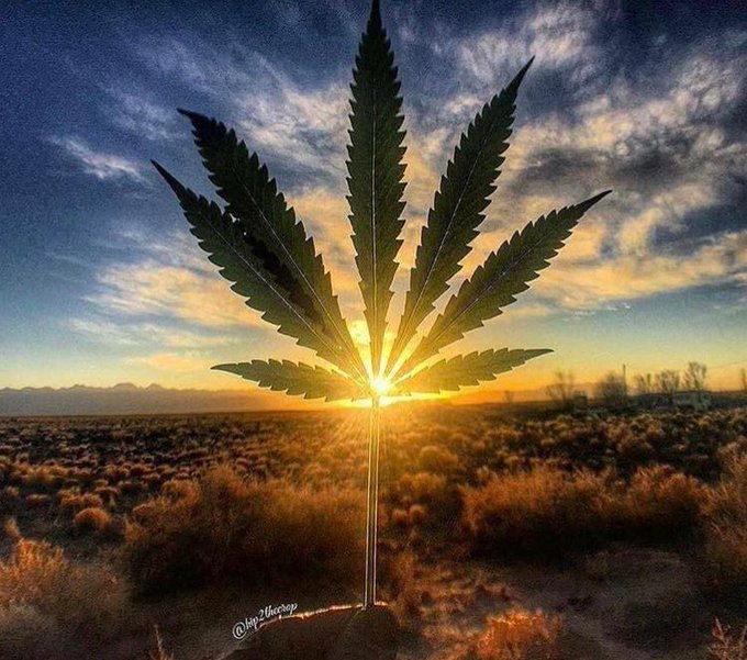 Buona Domenica delle Palme.  Mi auguro che sono tutti a messa.e non sui social.. io almeno.non faccio