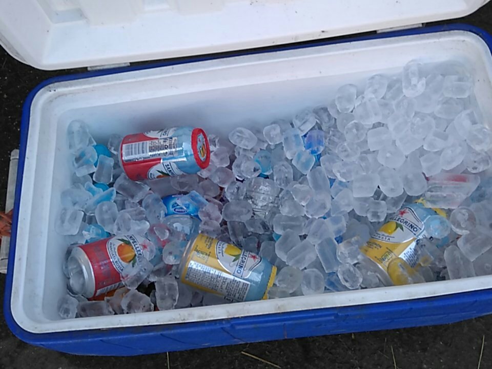 contessateam's tweet photo. Food and refreshments ready for #r4rdressage https://t.co/bb1b2NtvME