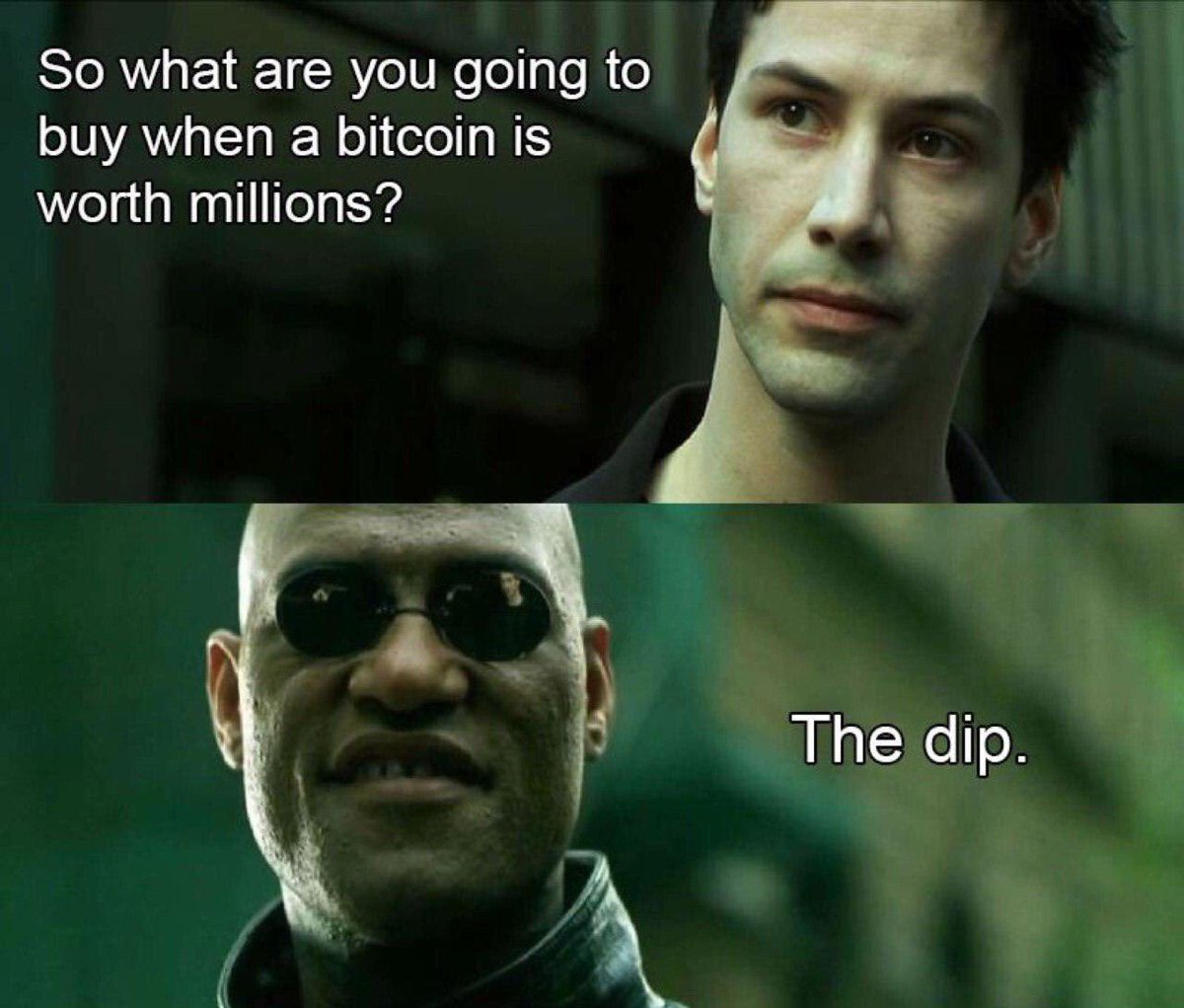 bitcoin buy the dip meme