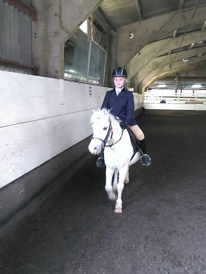 contessateam's tweet photo. #r4rdressage https://t.co/UbOAZaAoCT