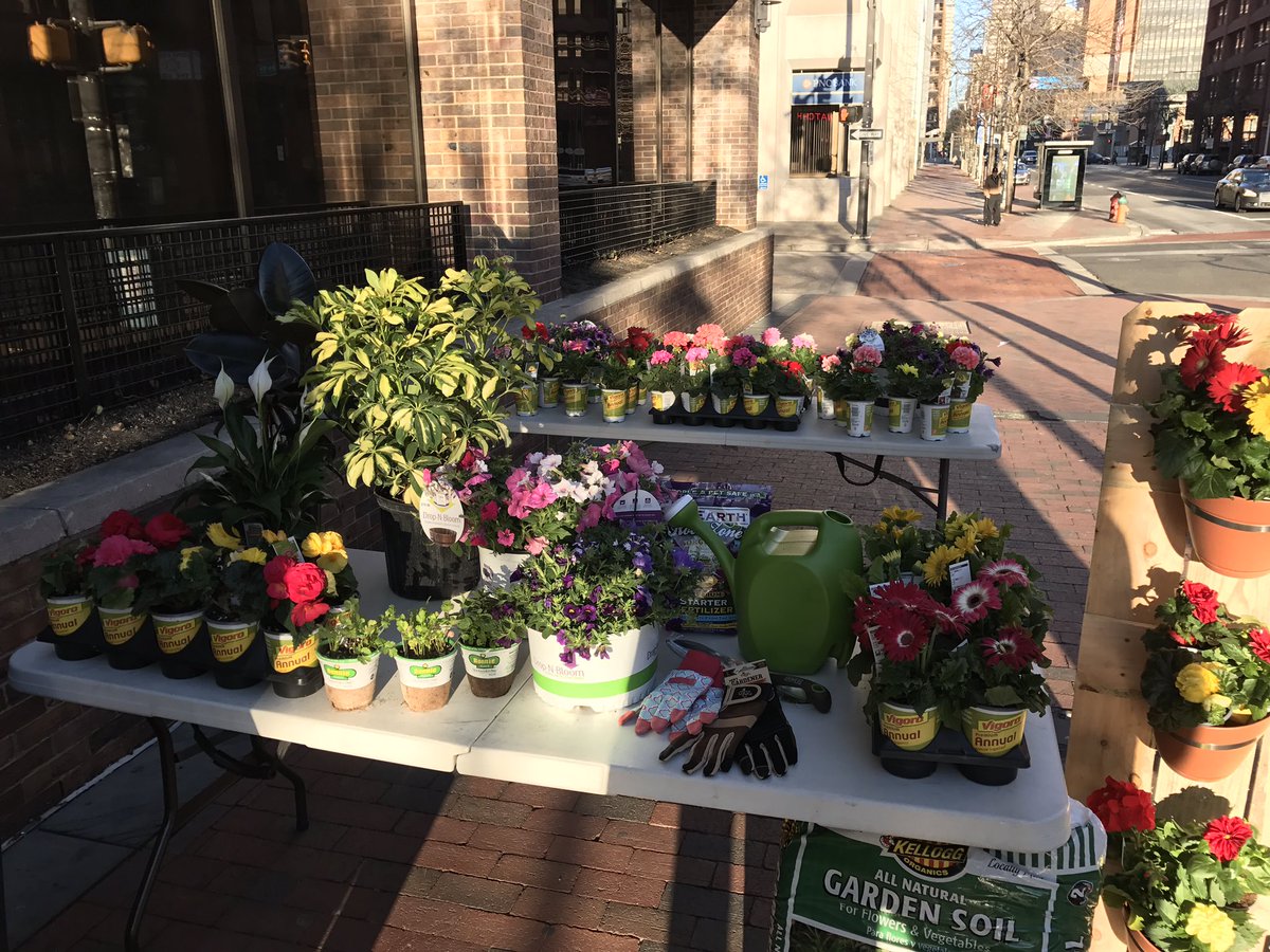 Sean_Brace's tweet photo. Look at this setup! Beautiful weather means its time to get your yard looking TIGHT! We give you a few secrets on @FOX29philly #Fox29GoodDay https://t.co/fsUjRlIUla