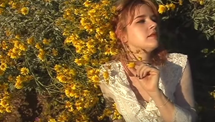 Dead Funny Store tweet media