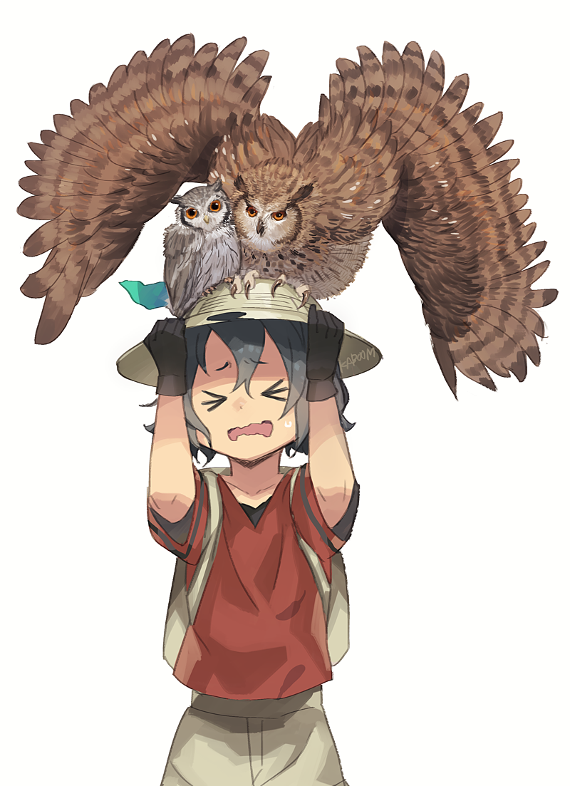 Kaboom Pixiv見て かばんちゃんとお友達 我々は賢いので T Co Wgp5gmgnm1 Twitter