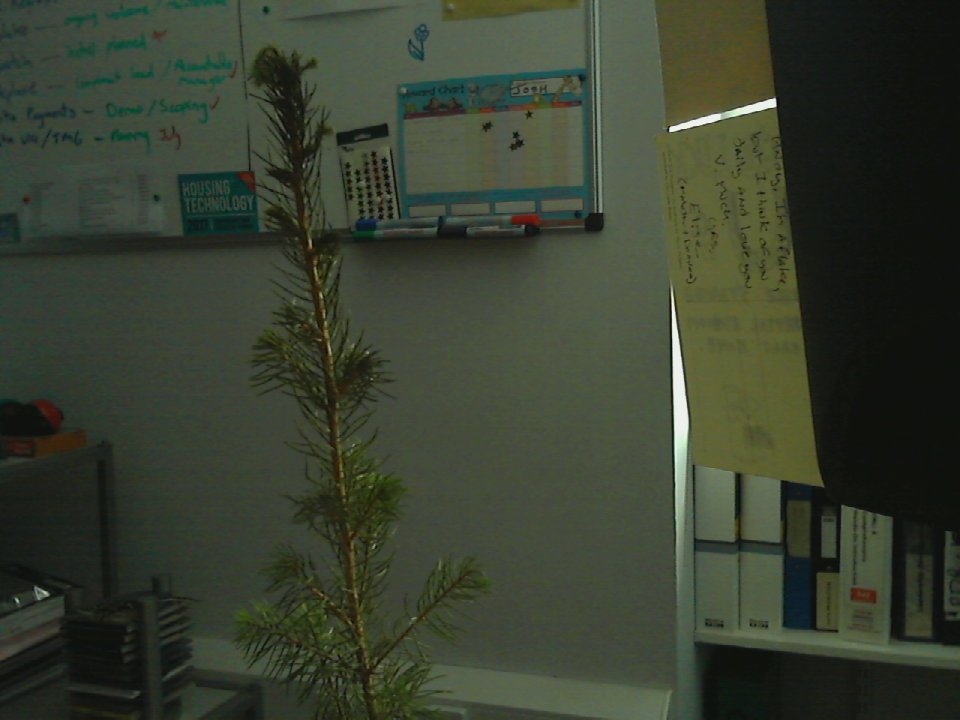 jqtree's tweet photo. It's 08:26 09-04-2017 and this is how I look #MyLittleTree https://t.co/45iFj9XQ1j