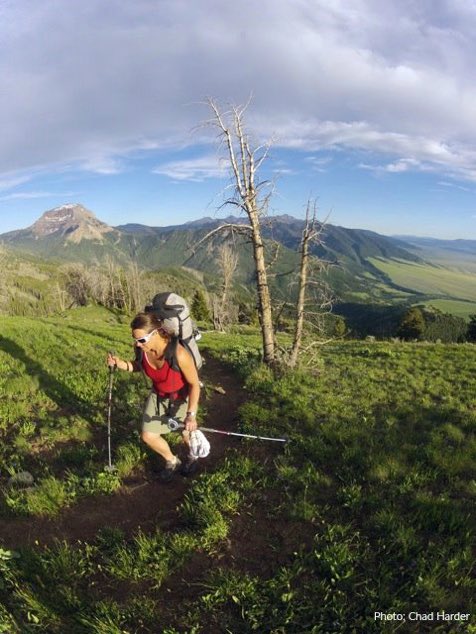 GreenTravelMag's tweet photo. Doctors explain how #hiking and spending time in #nature changes our brains: https://t.co/SxgVkgWnZq #KeepItWild via @WildernessWatch https://t.co/EfaOog9H3E