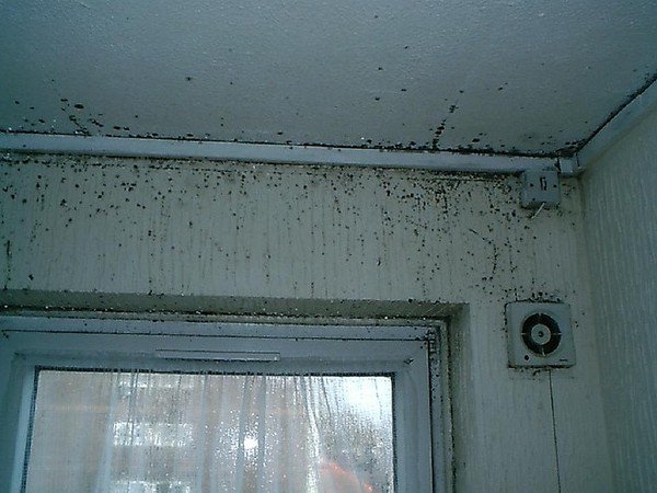 It's that time of year - Tips for Condensation Season for Homeowners - <a href="/PCAPropertyCare/">PCA Property Care</a> goo.gl/7JFNIi