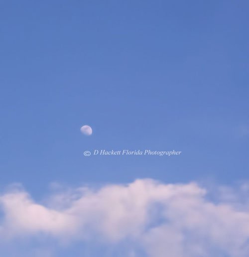 dhackett4150's tweet photo. #moon #partialmoon #daytime #blue #sky #bluesky #florida #dhackett #fineart #bestseller https://t.co/lIYJu1saw3 https://t.co/jTP5RLxAUE