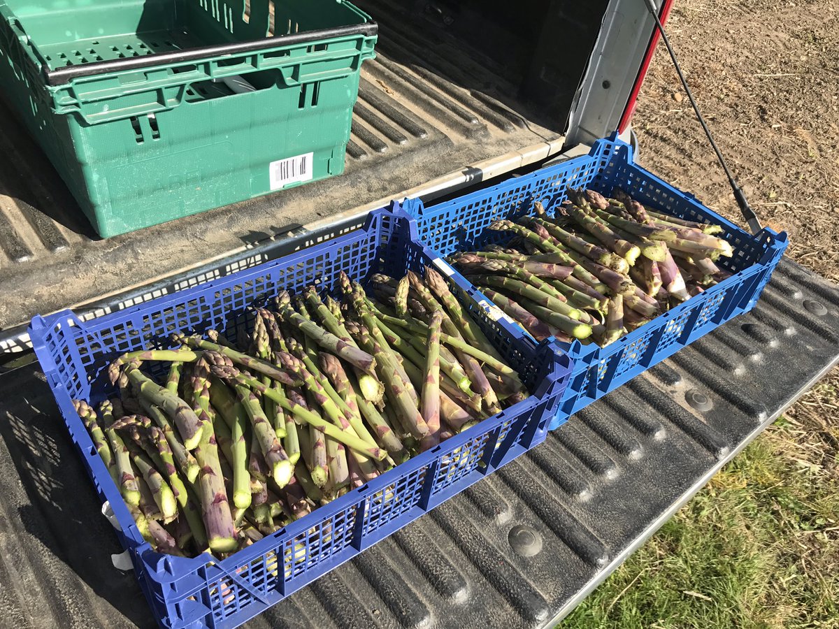 Kelsey's Farm Shop Twitter