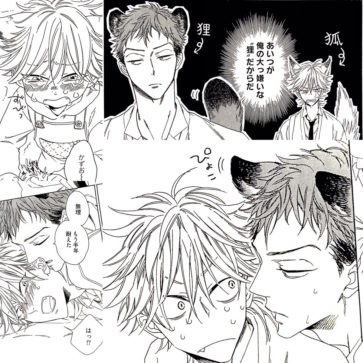 【配信中】4/1から配信スタートの麗人uno!vol.66にて『タヌキくんは騙し愛が上手』をちょっと長めの54P描かせて頂いてます!キツネさん〜シリーズの弟組のお話、こちらも狸×狐です。兄組からお付き合い下さってる方も、このお話からの方も、どうぞよろしくお願い致します♡ 