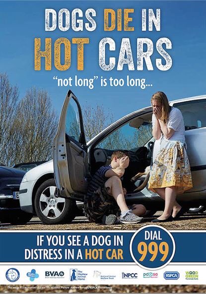 doolittlesdisp's tweet photo. It's going to be another scorcher today - please don't leave your dogs in the car! https://t.co/HsVzaHjV63