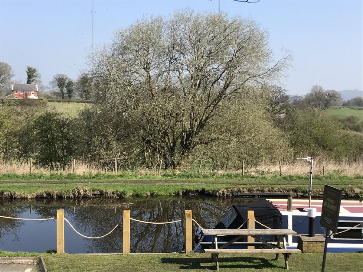 GrillandGrain's tweet photo. It's a glorious morning here at G&amp;G #sunshine #chorley #lancashire https://t.co/SaRVYBmhHY