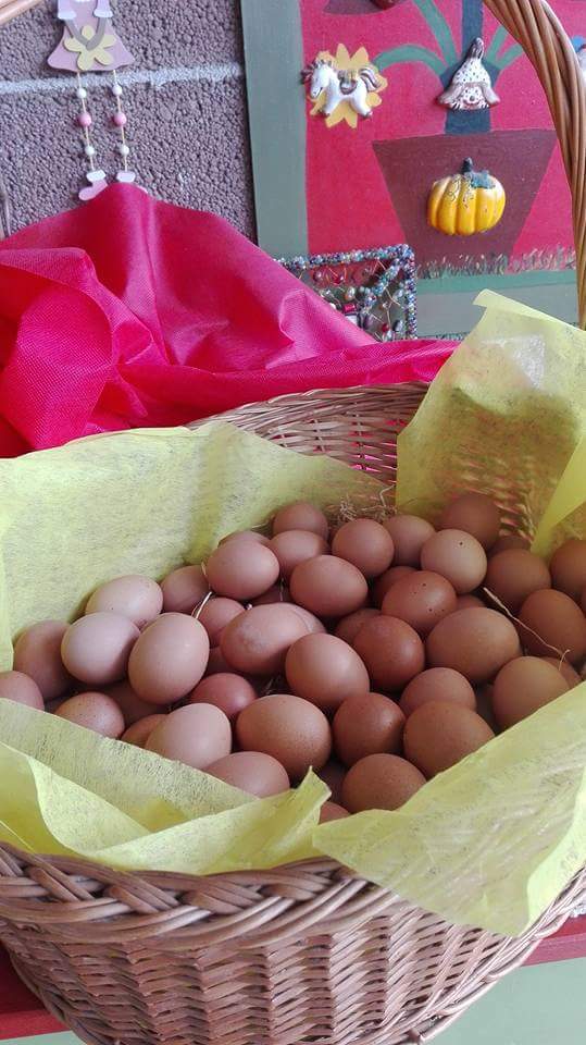 cascinadeitigli's tweet photo. La #caccialleuova nella nostra Cascina ❤ #fattoriedifattiche #pasqua https://t.co/Ipwq4lybia