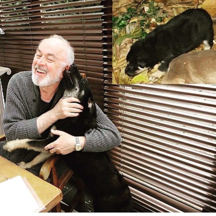 Saving Strays 🐾🐶🐕 tweet media