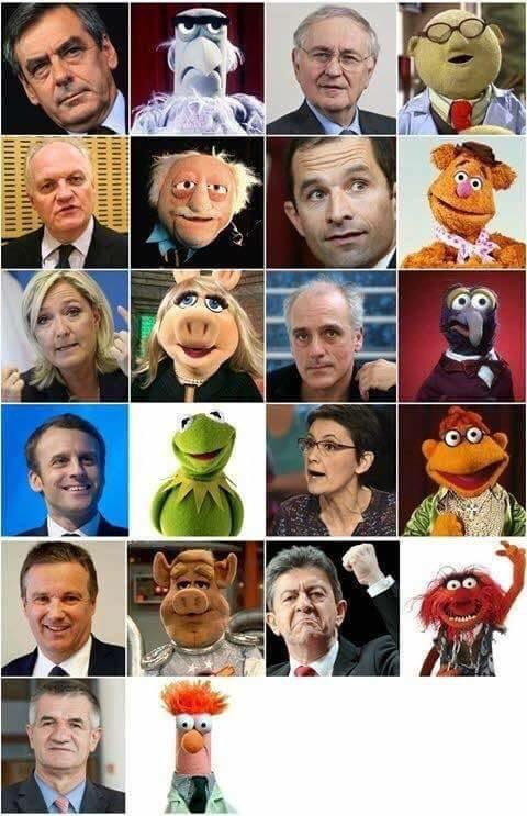 K8L's tweet image. Muppets 2017