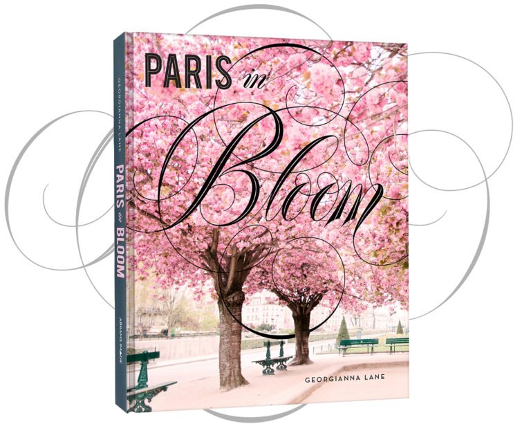 AtticoGroup's tweet photo. Paris – City of Love, City of Light, and City of Flowers
#ParisinBloom #GeorgiannaLane #Spring #Paris #Blossom #PerfectGift 
@WestbourneLife https://t.co/NbayK0fpfK