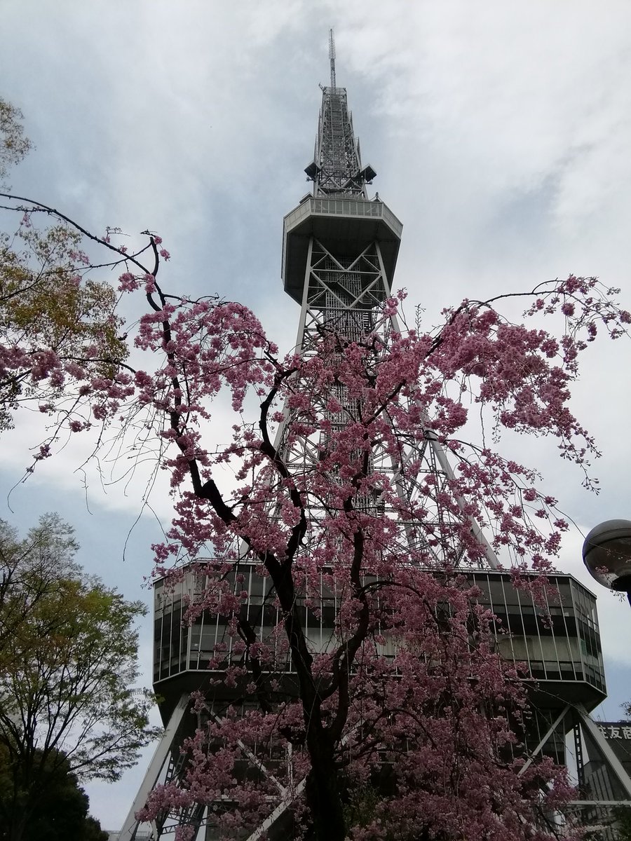 名古屋城は人だらけ　ここは路上ライブ無ければ静かな