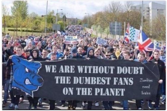 Image result for the dumbest fans on the planet