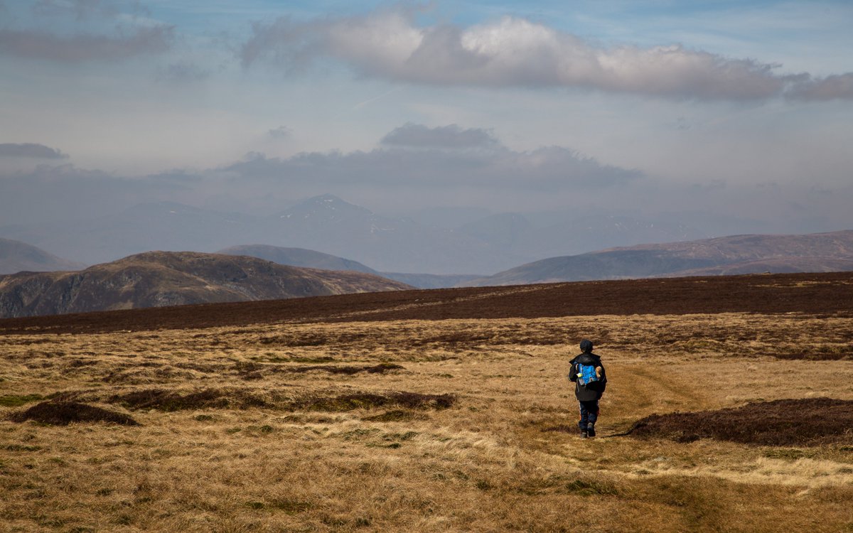 jonwood1978's tweet photo. #fartherandson #hillwalking #corbetts #auchnafreehill great day for a walk #sunshine #springcondition #greattobeoutside https://t.co/rdFpguTuvj