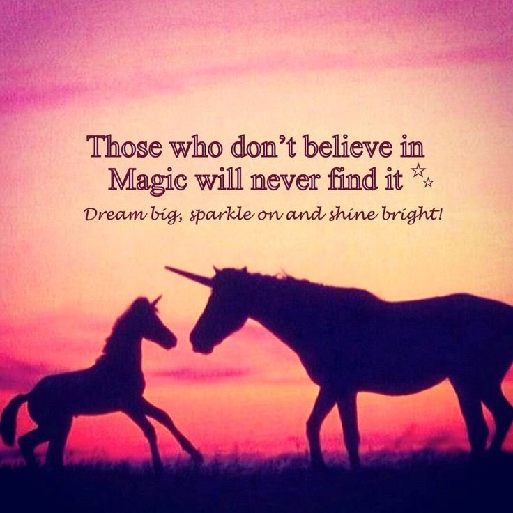 MyDreamIsAStory's tweet photo. #BelieveinYOUnicorns the perfect hashtag. 🦄🌈 https://t.co/fi5hzT15rn