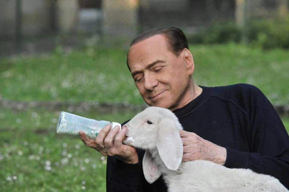Pefano_Starisi's tweet photo. ATTENTI AL LUPO #agnelli #SB #animali https://t.co/tP9lZbQ584