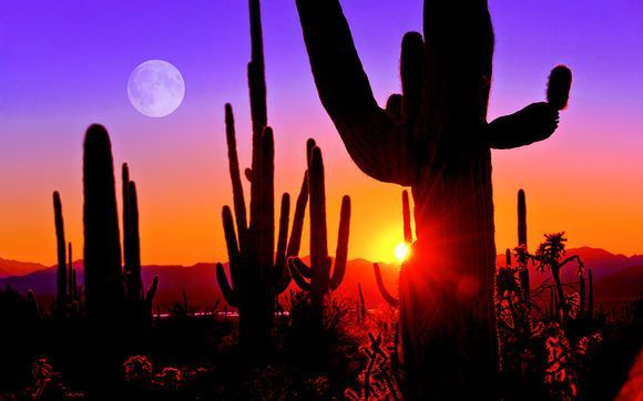 How to Honor Dad This Father’s Day buff.ly/2o29tuX