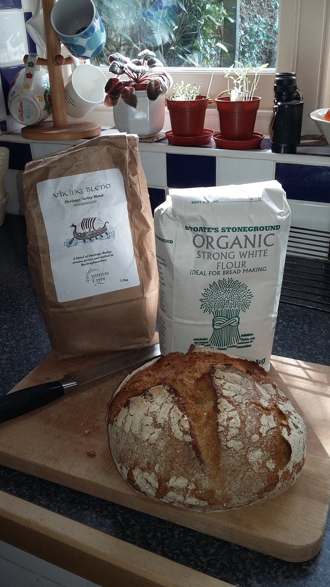 Nice loaf made using 50% #Stoates and 50% #LammasFayre Heritage Barley Blend <a href="/BakeryBits/">BakeryBits</a> @weekendbakers
