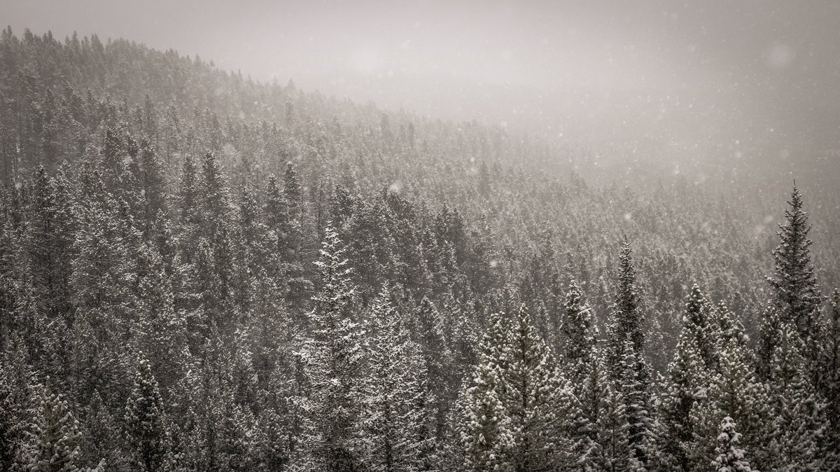 breckenridgemtn's tweet photo. Keep doing your snow dances, 3" overnight and it's still falling. #Breck #Brecksnow https://t.co/vF5W2qzhYe