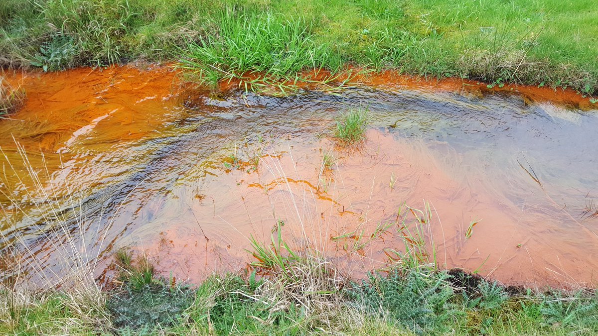 GeomorphicJosh's tweet photo. Nice day checking out the impacts of mining in #SouthWales with the @CU_EARTH #CU_EES gang #orangerivers #AMD #mining #SWLegacy https://t.co/F9LrSVNP9E