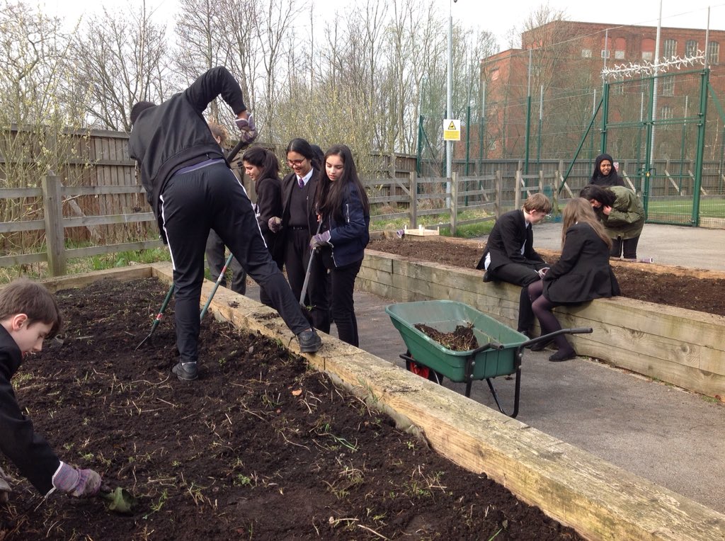 TOANWOODLANDS's tweet photo. Duke of Edinburgh students volunteering at Eco club, lots of weeding and planting seed potatoes #oldhamacademynorth https://t.co/MHHAWPGY1e