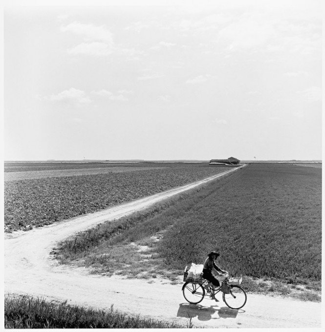 italian ways tweet media