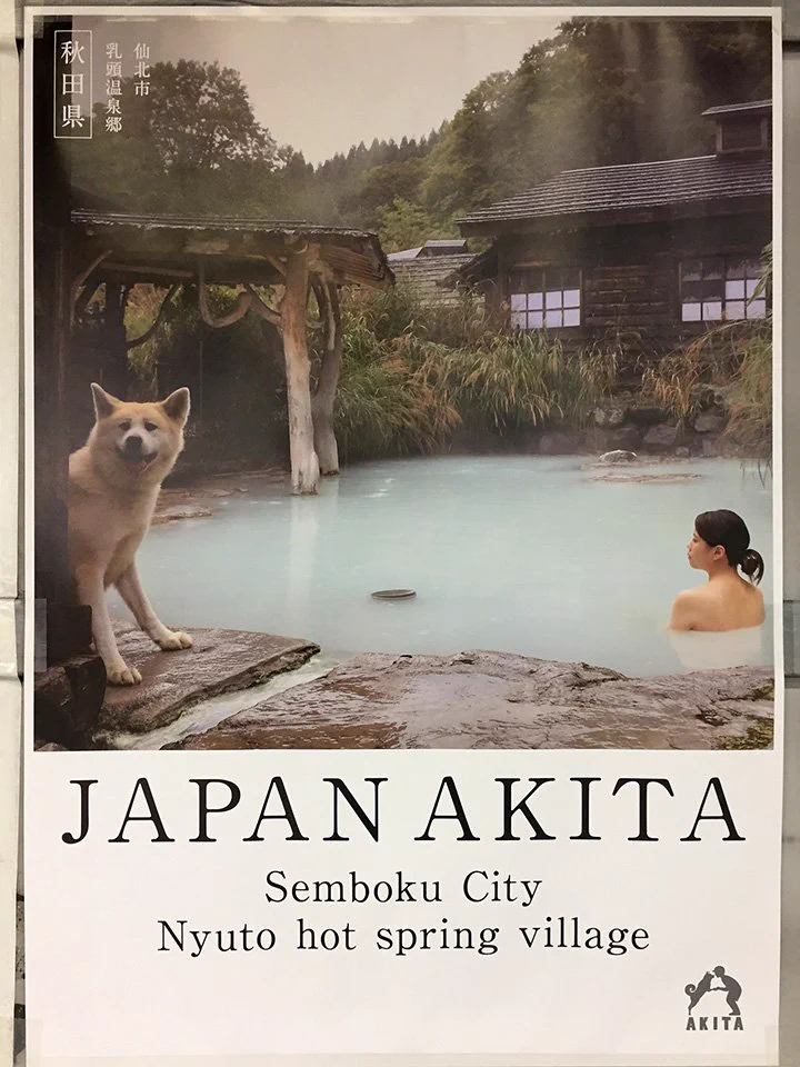 わんこもご満悦ｗ秋田県の観光ポスターがかっこいいｗ