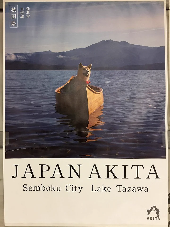 わんこもご満悦ｗ秋田県の観光ポスターがかっこいいｗ