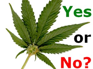 Hey #VT: tell your legislator how to vote on H170 Marijuana bill. Voting soon! See ow.ly/a3FR30aky03 then ow.ly/M31a30akIqe #btv
