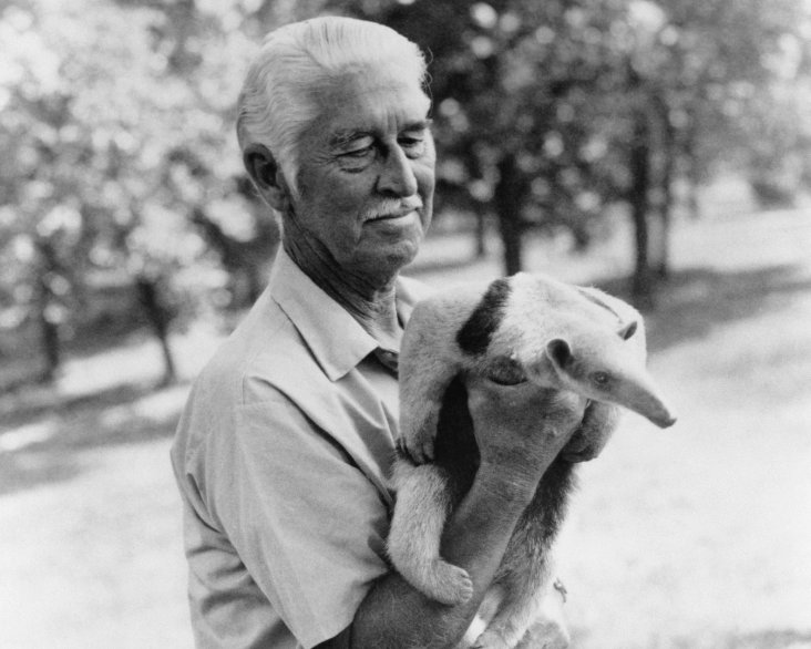 #WildKingdom host Marlin Perkins was born on this day in 1905.

See who else was born on this day in history: ow.ly/cjyd30ajhvt #otd