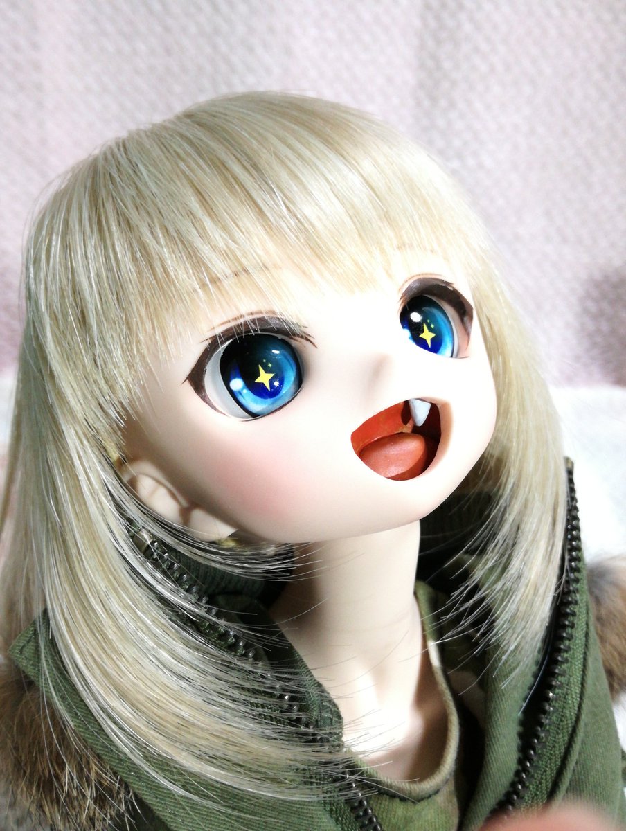 mohe_mifuyu's tweet image. なんかケツにドライヤー当てられた猫の顔に見えてきた
#うちのこかわいい