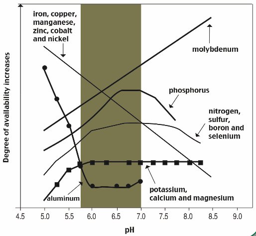 PlantNutrition's tweet photo. Favorable Soil pH: Does it Really Increase Nutrient Use Efficiency? https://t.co/ymxfjZuMxF https://t.co/yWg8g8rvrd