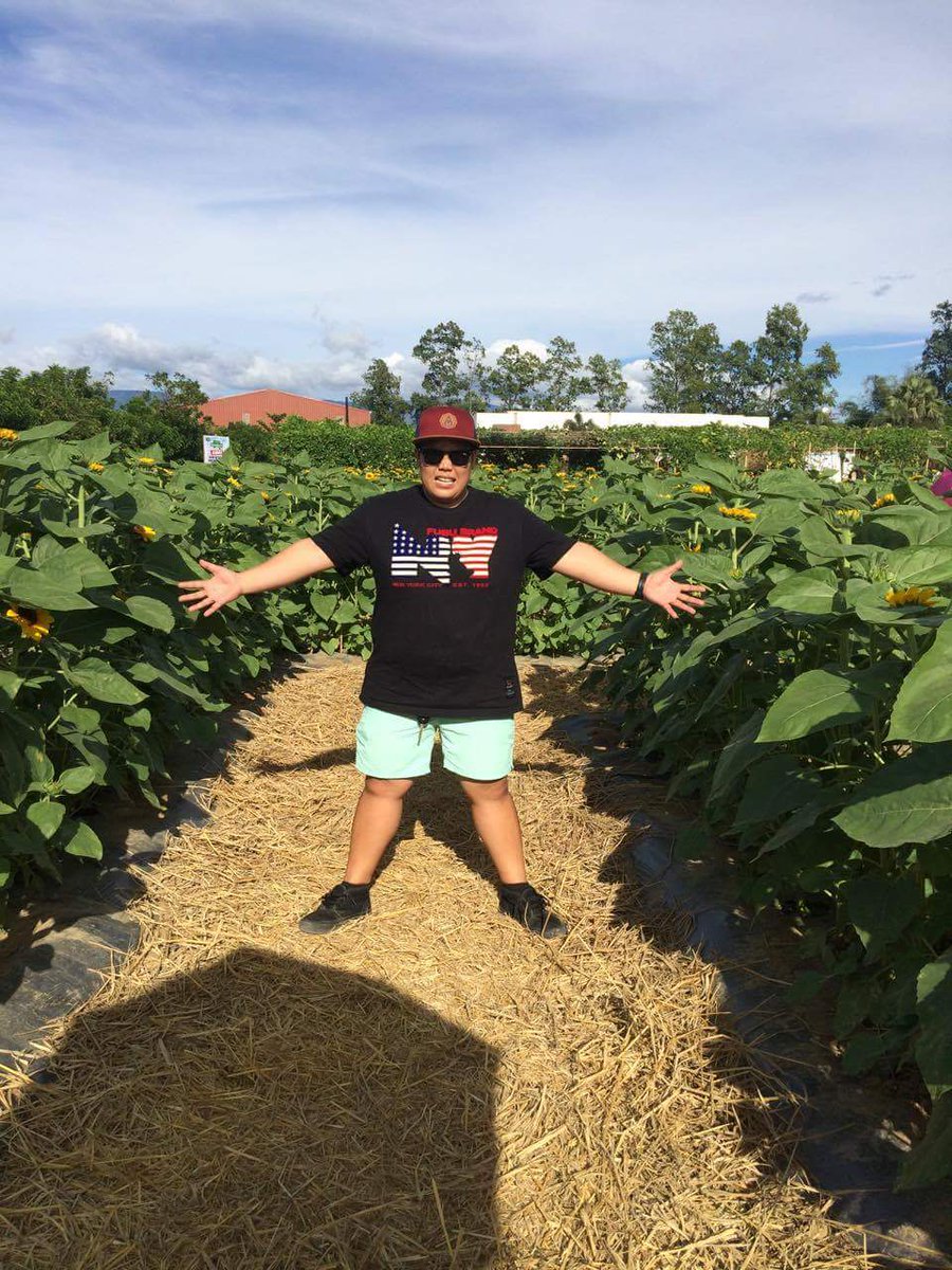MayonessT's tweet photo. #sunflowermaze https://t.co/ySM8wMnDE8