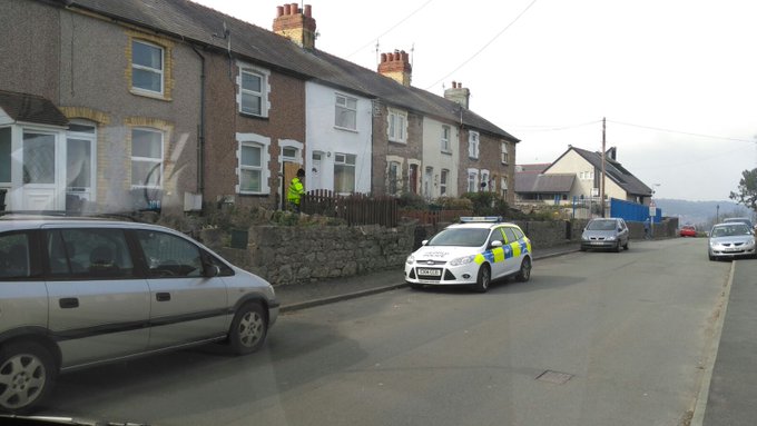 View image on Twitter