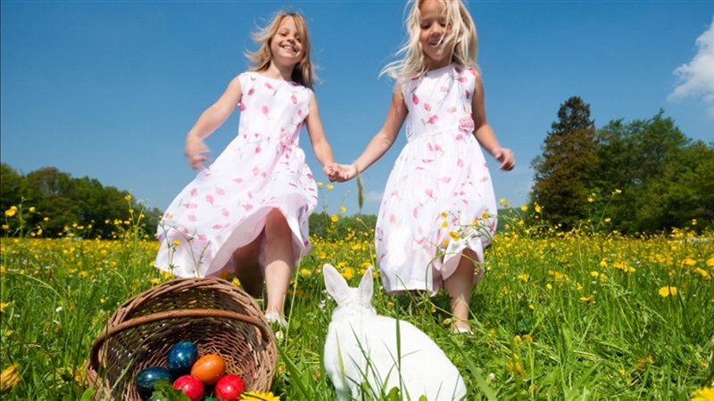 Mid Ireland Tourism tweet media