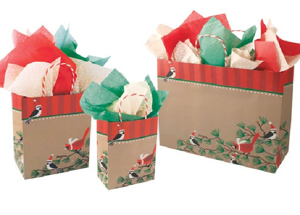 Laminated Boutique Gift Bags Will Make You Tons Of Cash. Here's How! goo.gl/idPZPt #Boutique #GiftBags #CarrierBag