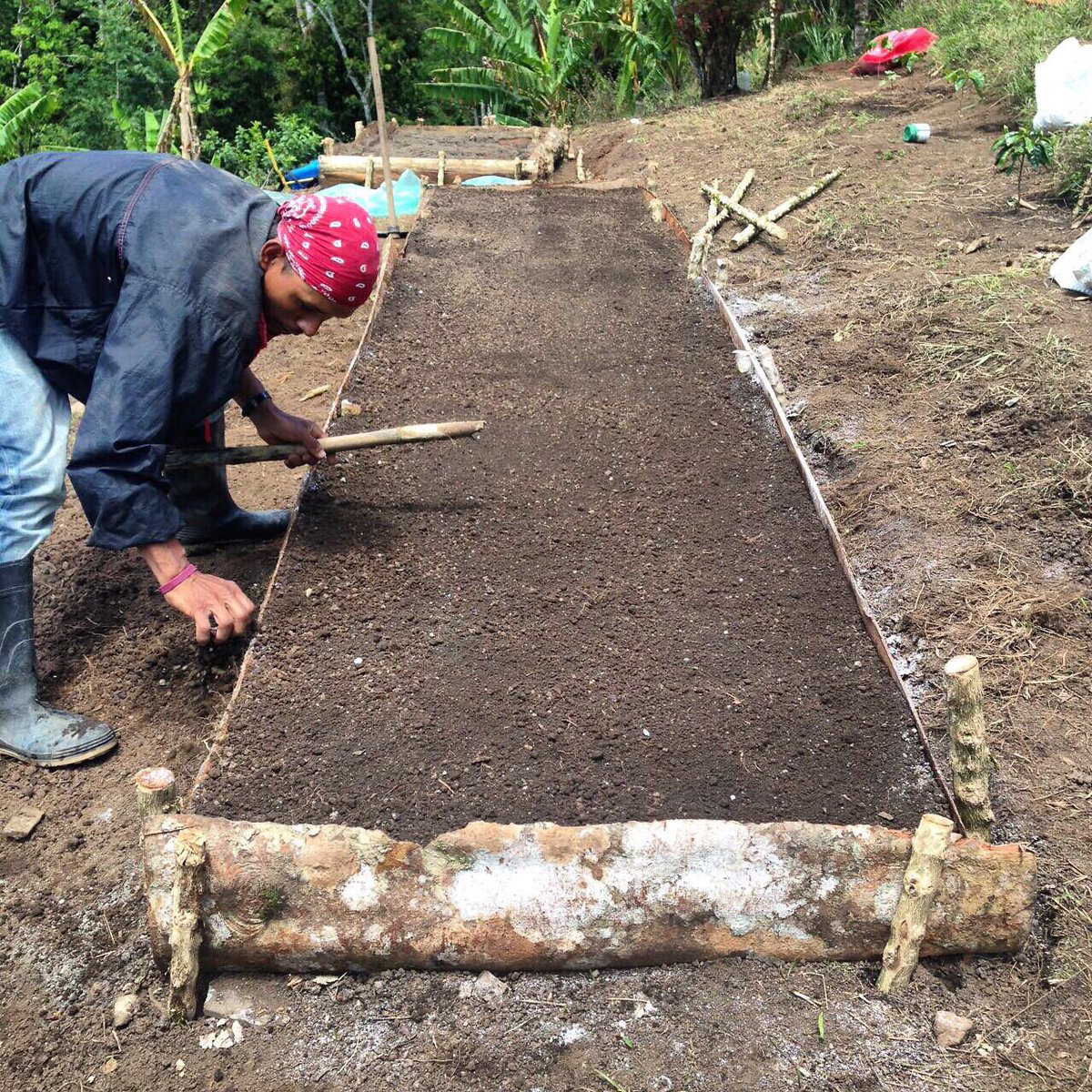 food4farmers's tweet photo. New home gardens are building food security at our partner co-op #COMEPCAFE in Cauca, Colombia. https://t.co/VG1X7qaEX2
